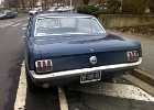 mustang 10